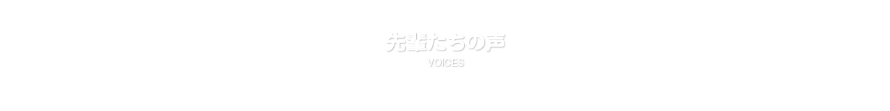 先輩たちの声